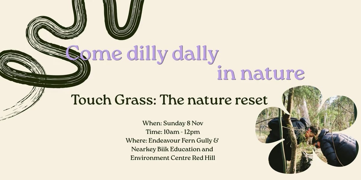 Touch Grass: The Nature Reset