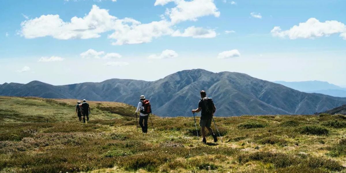 Falls To Hotham Crossing