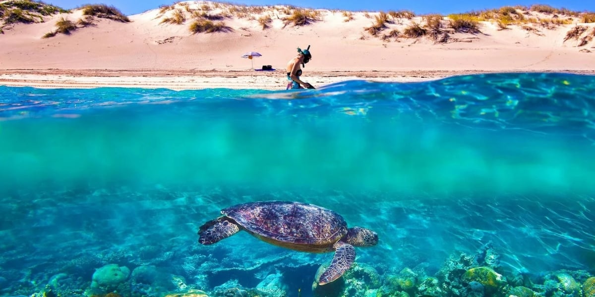 Western Australia: Go West, The Ultimate 11 Day Adventure (Dates TBC)