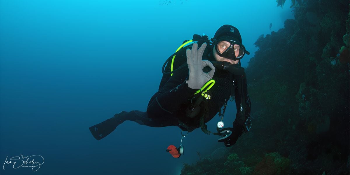 Scuba Dive | Party Point 12-40m (Sorrento)