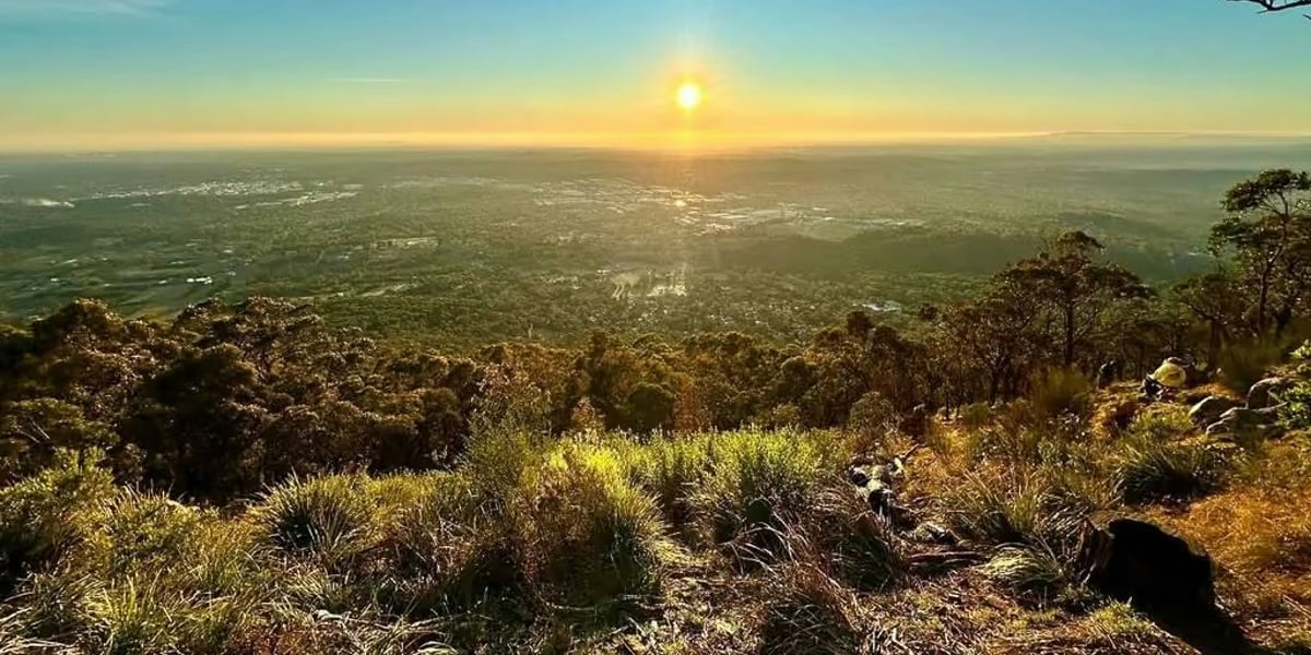 FRIDAY NIGHT IN NATURE | Burkes Lookout Sunset Social