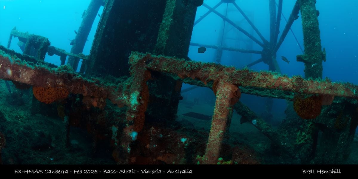 Scuba Dive | Ex HMAS Canberra Wreck 18-30m (Queenscliff)