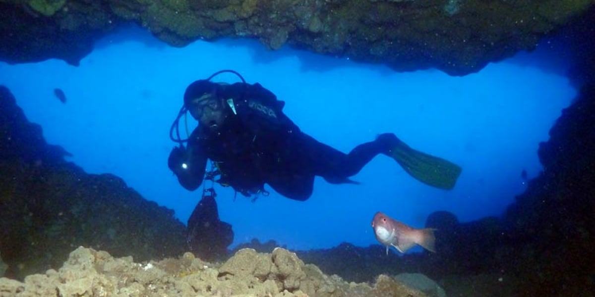 Scuba Dive - Toms Cave 22-30M (Sorrento)