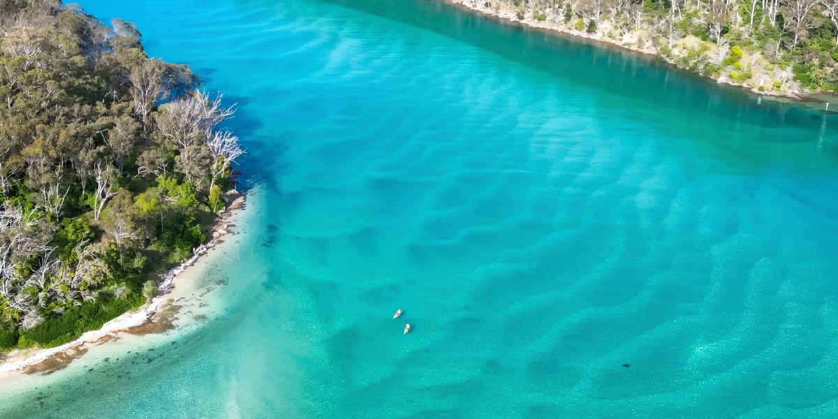 Pambula River Kayak Tour