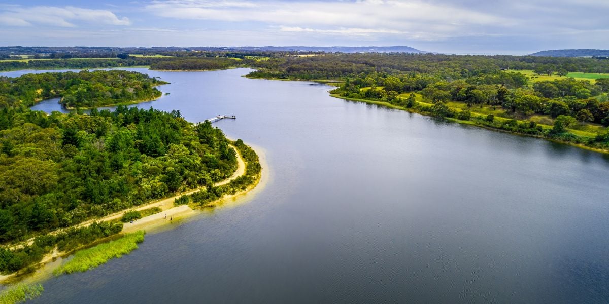 Devilbend Circuit Track and Bittern Reservoir Circuit | Easy-Medium, 14km