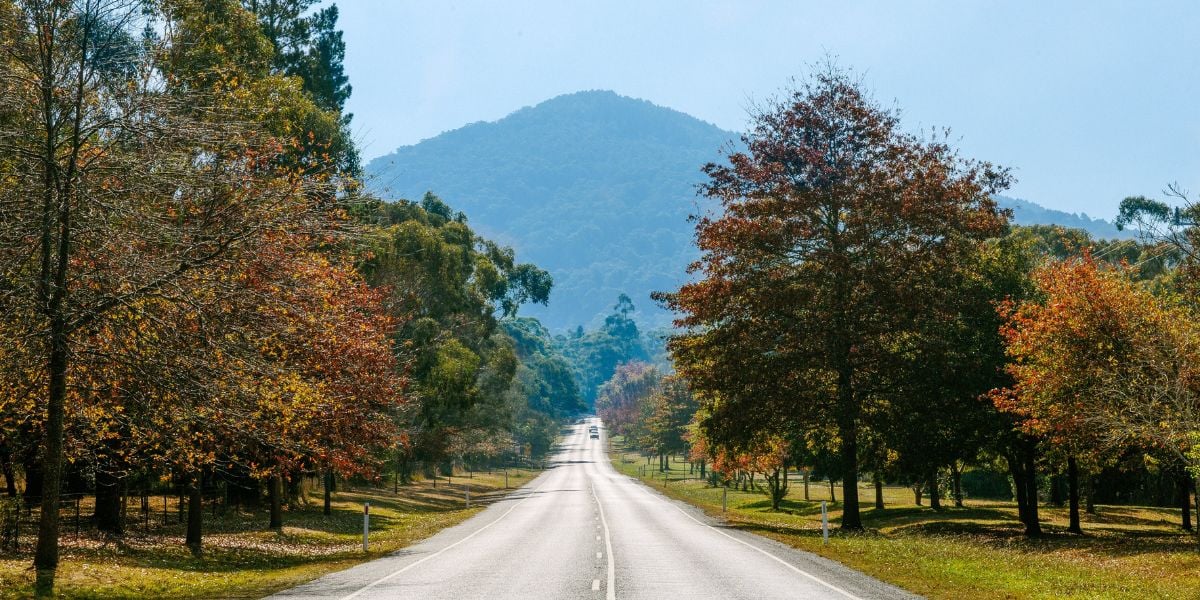 Mount Macedon circuit  | Hard, 17km