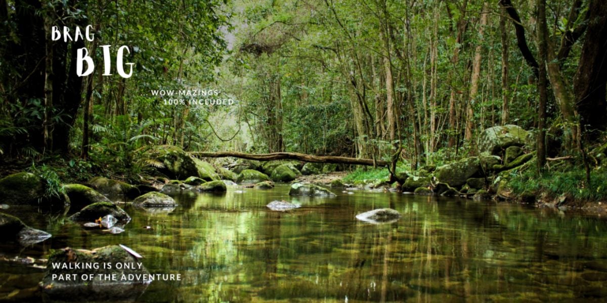 Daintree Rainforest & Mossman Gorge Walk - 4 Days