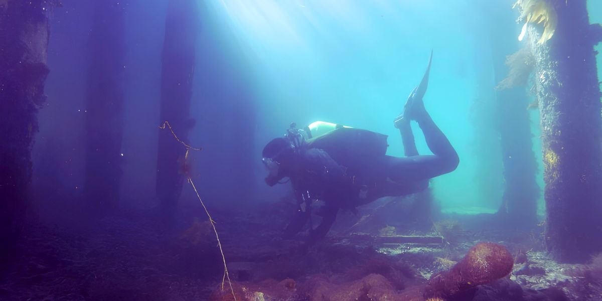 Open Water Diver Course