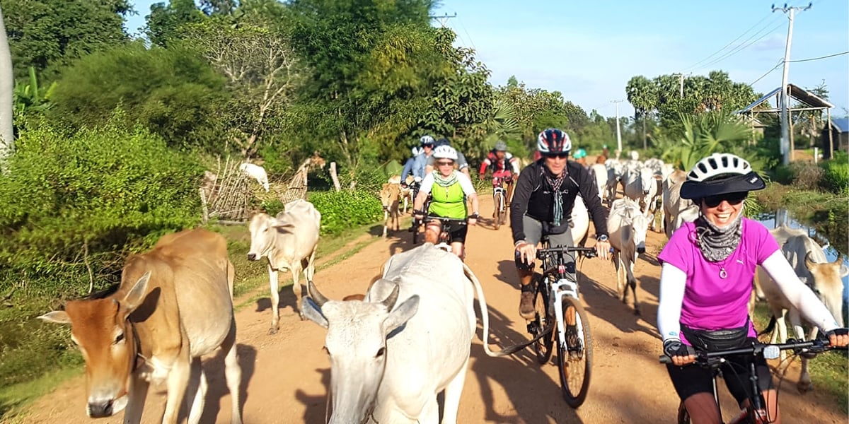 Cycling Adventure - Cambodia Siem Reap to Phnom Penh · 7 Days