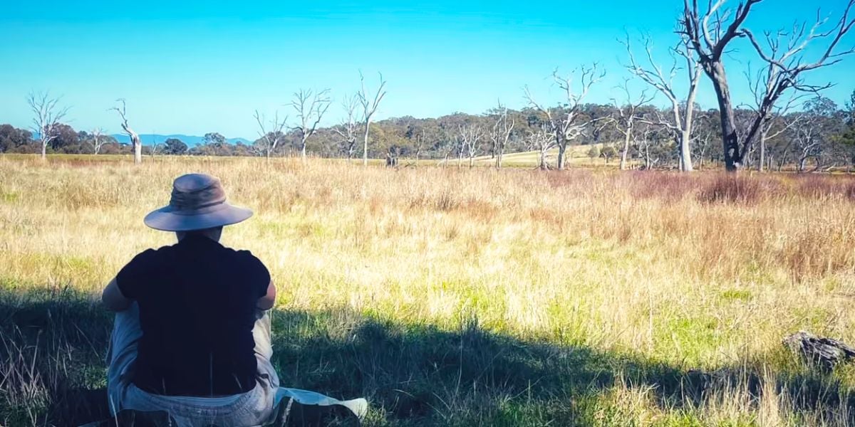 Meditation in nature - Connect to the living world