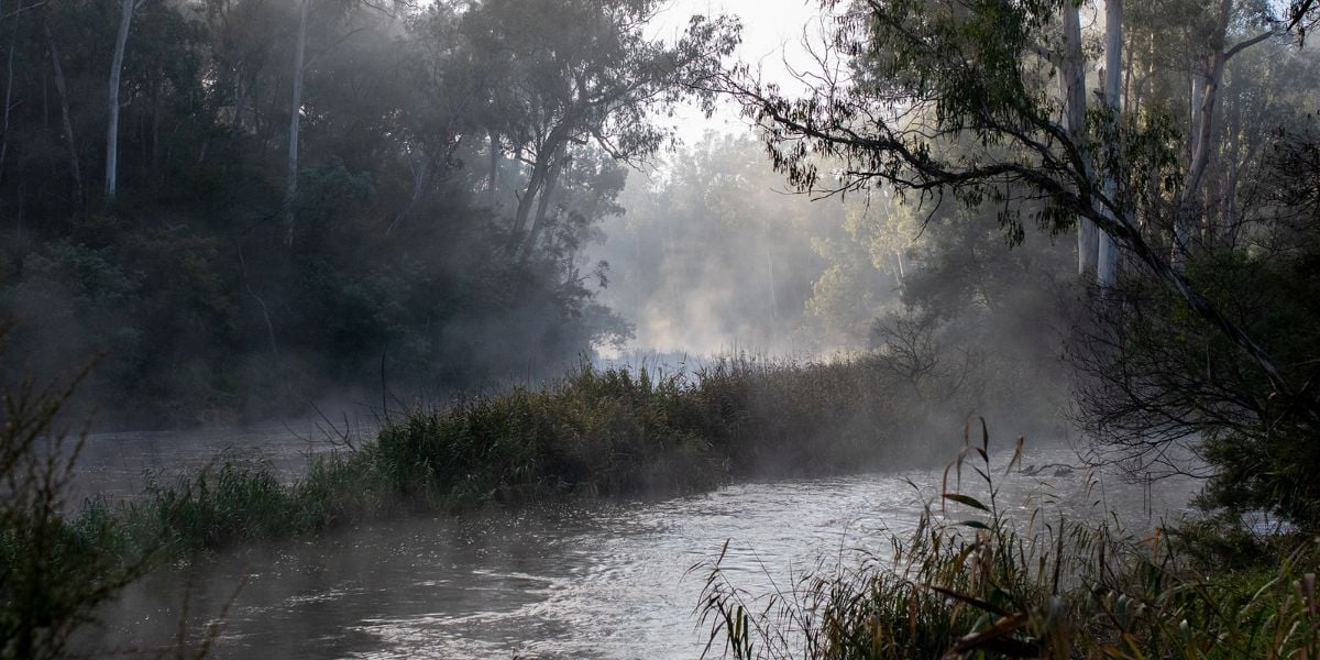 Warrandyte Pound Bend - Day Immersion (Private Group)