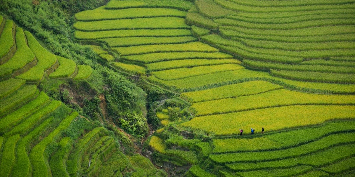 Cycling Adventure - Laos Vientiane to Vietnam Hanoi · 20 Days