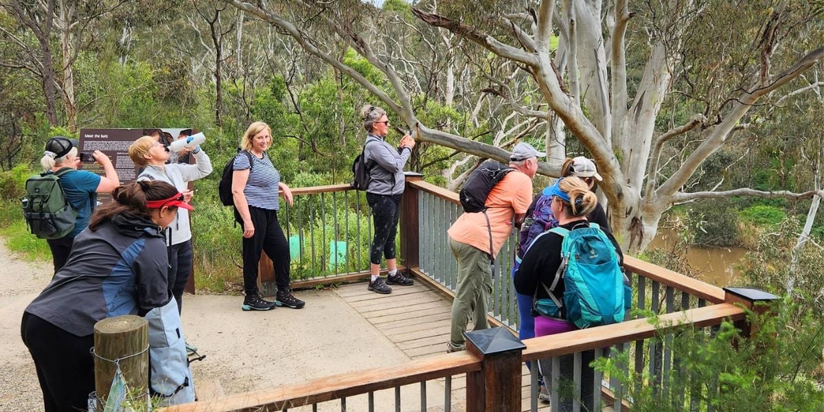 Yarra Trails | Short and Social Hike