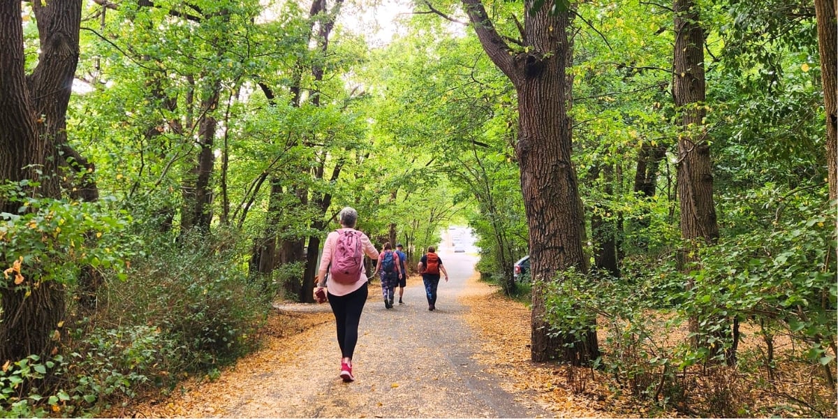 Candlebark Bush Loop | Short and Social Hike