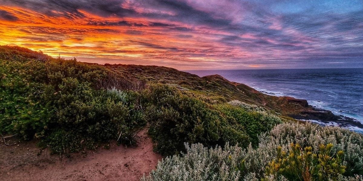 Hike the Night Challenge