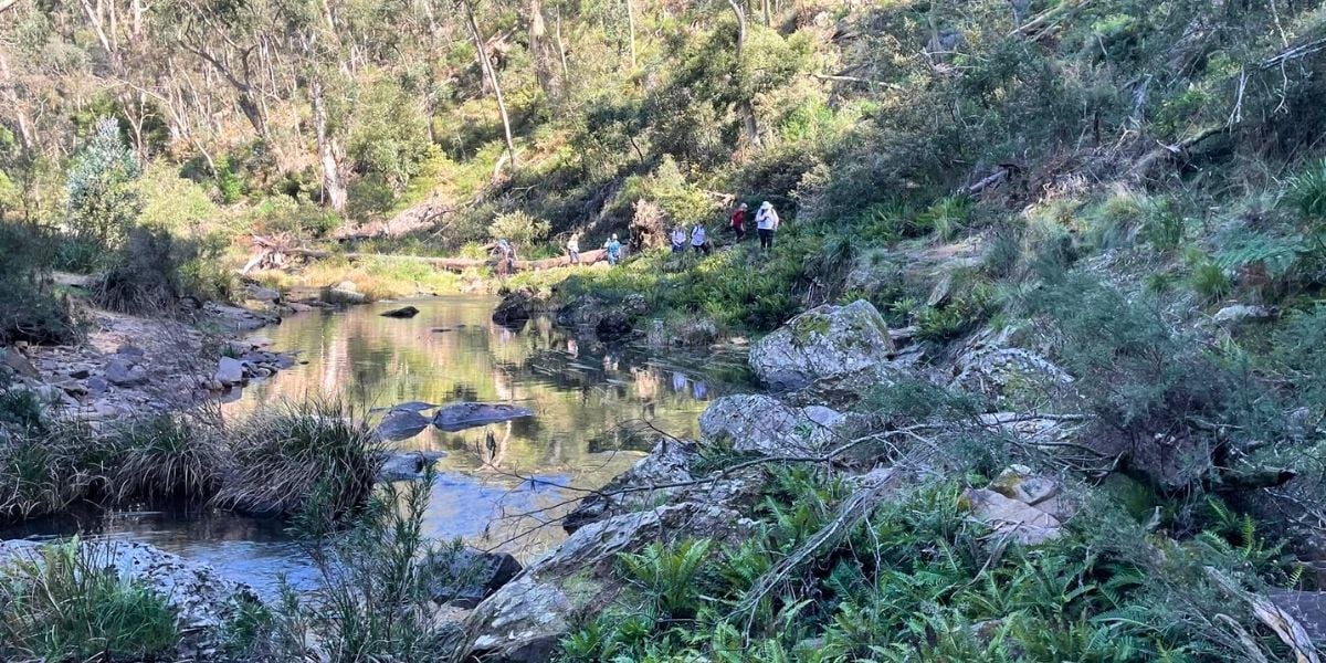 Lerderderg Scenic Rim | Day Hike