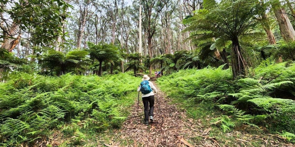 Alfred Nicholas Gardens Loop | Day Hike