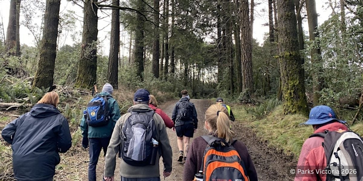 Macedon Memorial Cross Group Hike