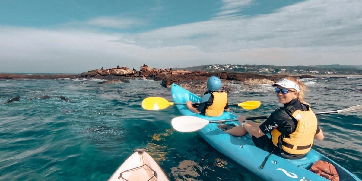 Seal View Kayaking