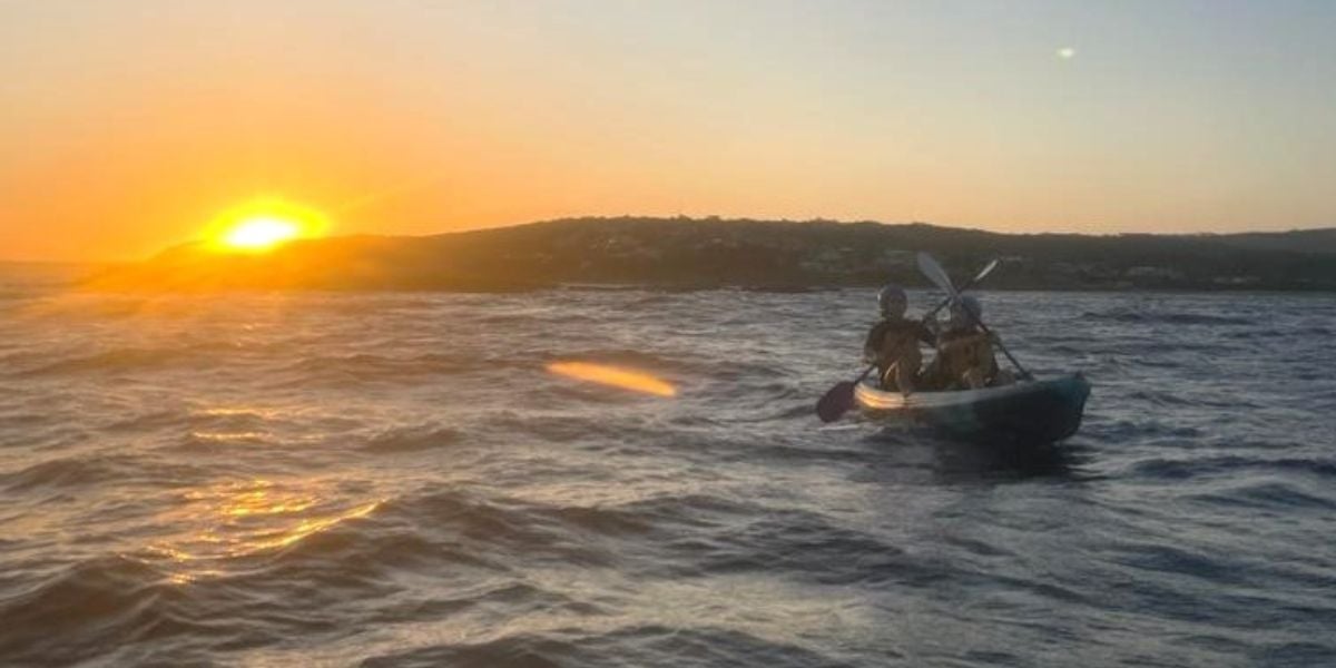 Seals by Sunset Kayaking Tour