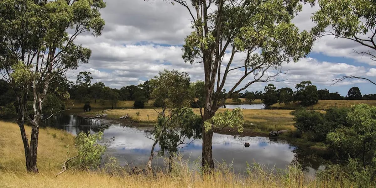 Plenty Gorge Park Walk- Morang Wetlands