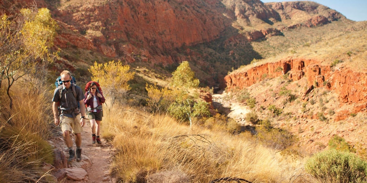 Larapinta Highlights & Mt Sonder Walk – 7 days