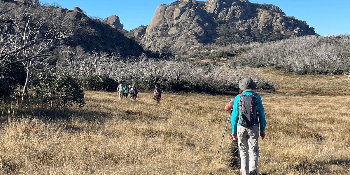 Victorian Alps Highlights - Guided Walk – 4 days