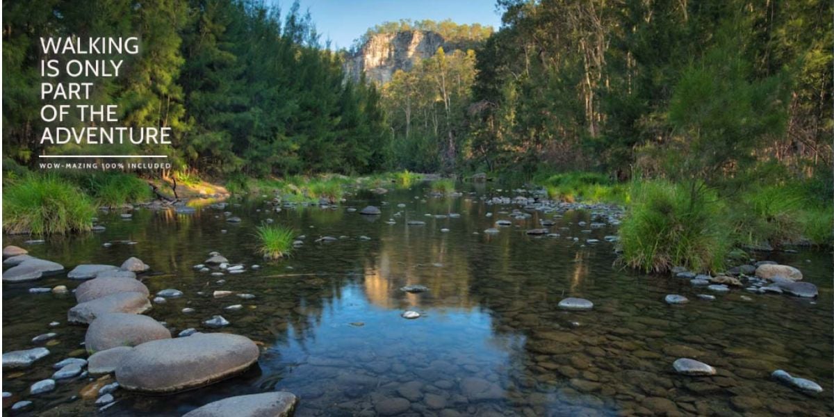 Carnarvon Gorge and Bunya Mountains Walk - 7 Days
