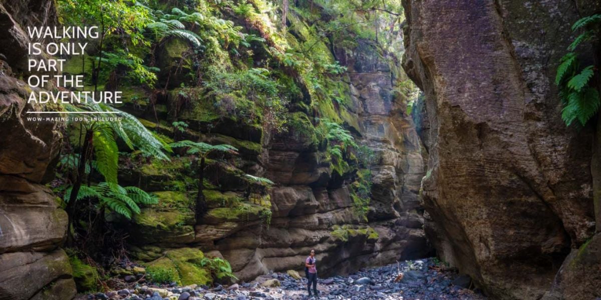 Carnarvon Gorge Walk - 5 Days