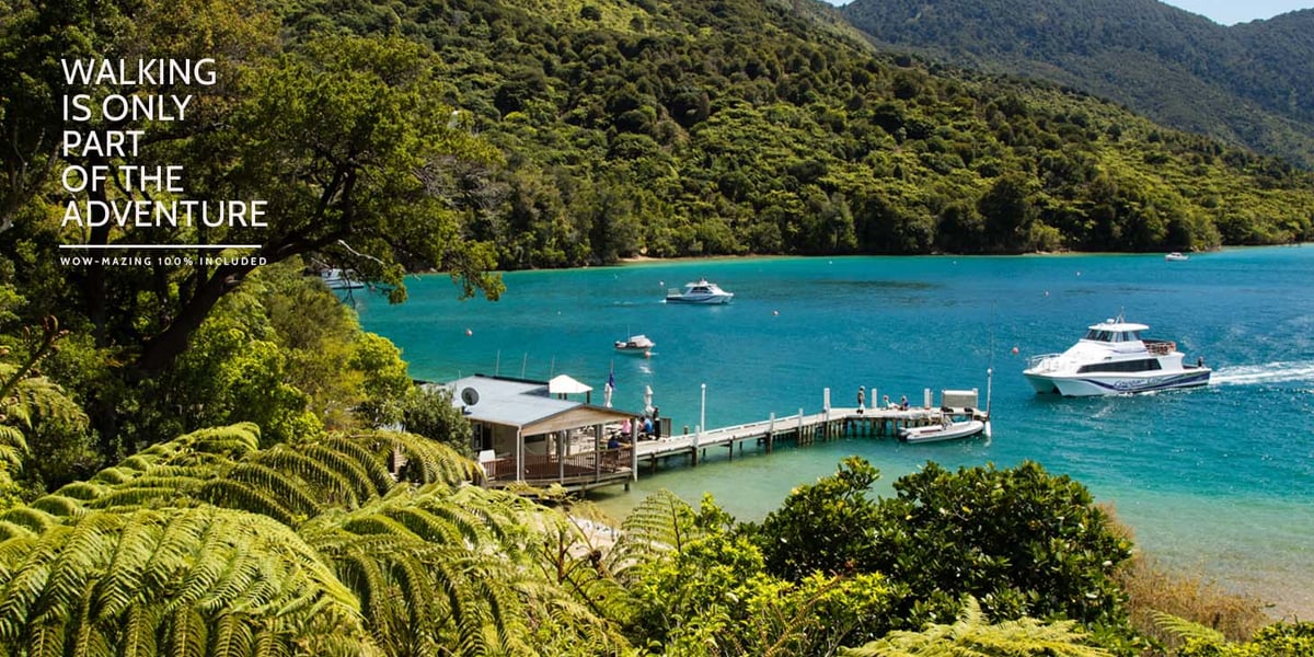Best of the New Zealand Queen Charlotte Track Walk - 3 days