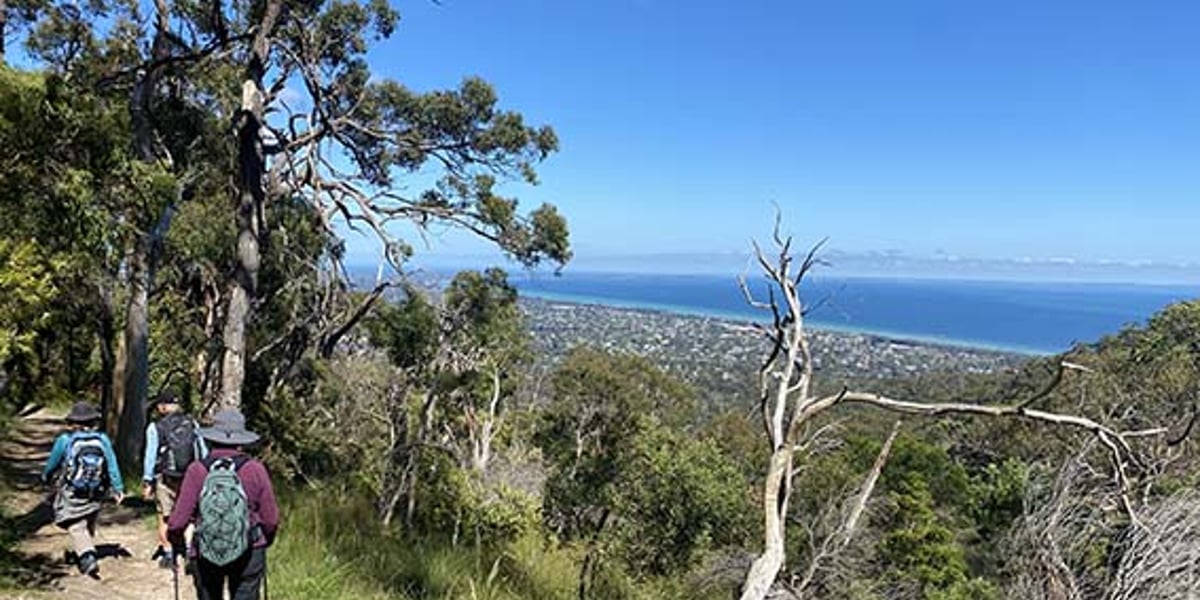 Mornington Peninsula Walk - 3 days