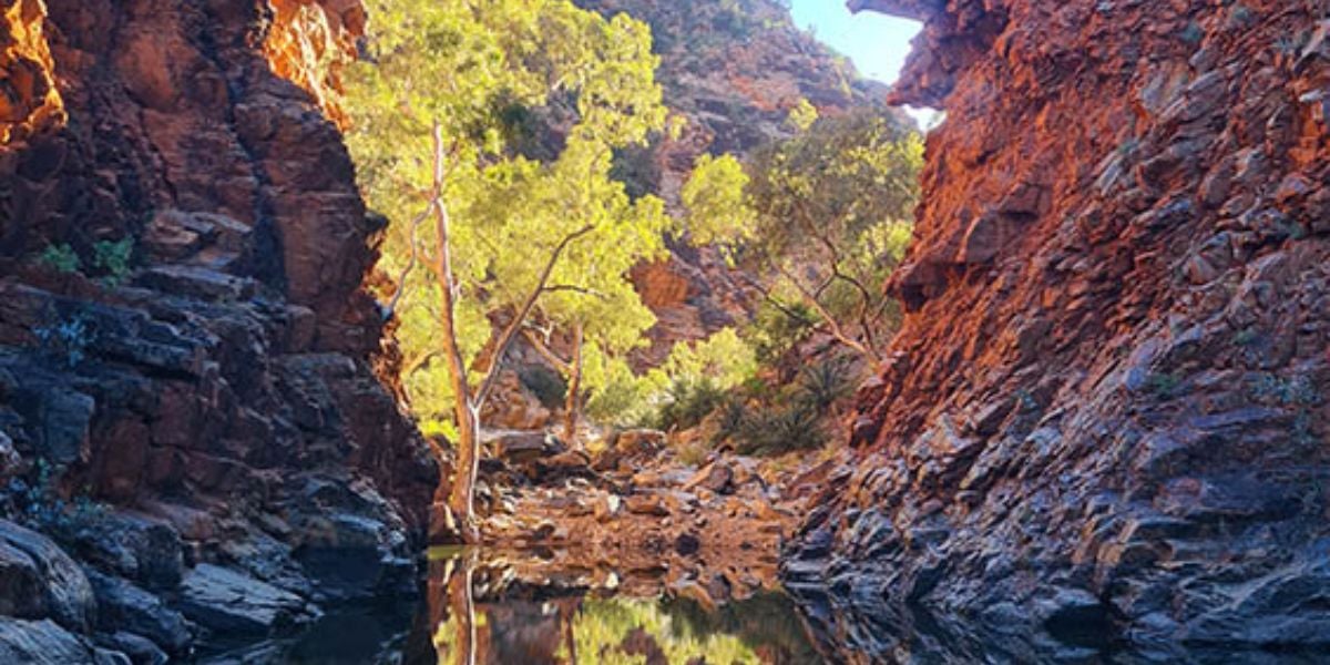 Larapinta Trail Walk - 6 Days