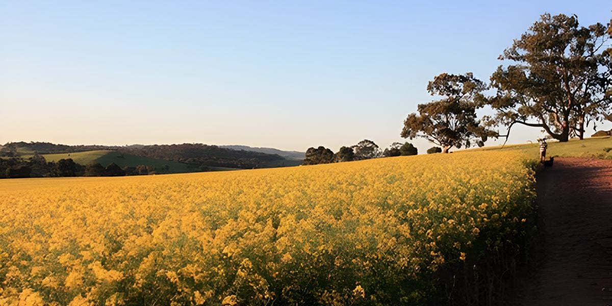 Clare Valley Wine & Wilderness Walk - 3 Days