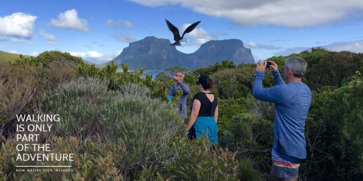 Lord Howe Island Walk - 6 Days