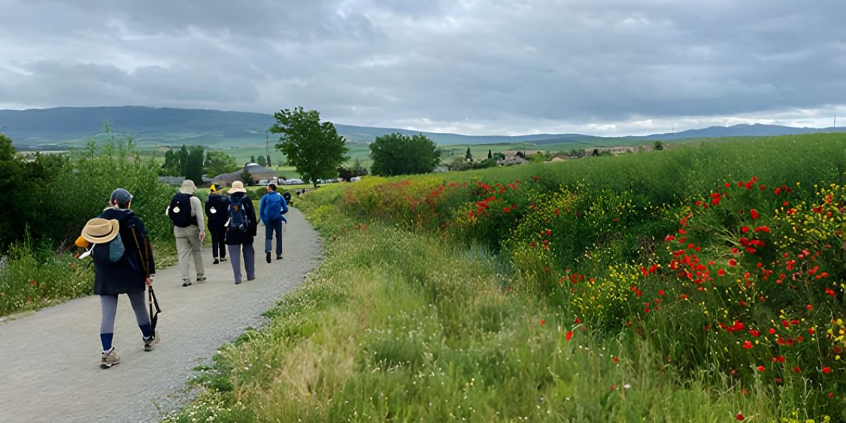 Camino de Santiago walk Spain - 8 Days