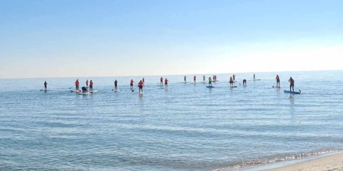 Paddle, AGM and drinks on us (for SUP Vic Members)