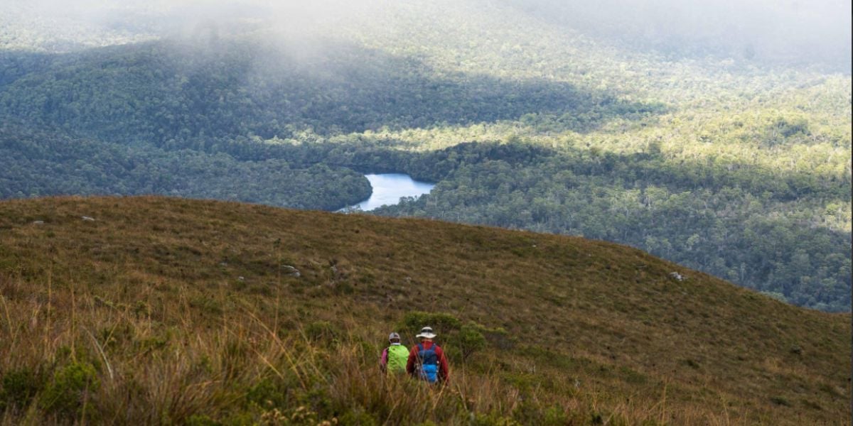 Tarkine Wilderness Highlights - lutruwita / Tasmania - Guided Walk - 5 Days