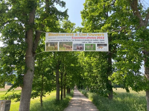  Expo photo Château Thanvillé 2023