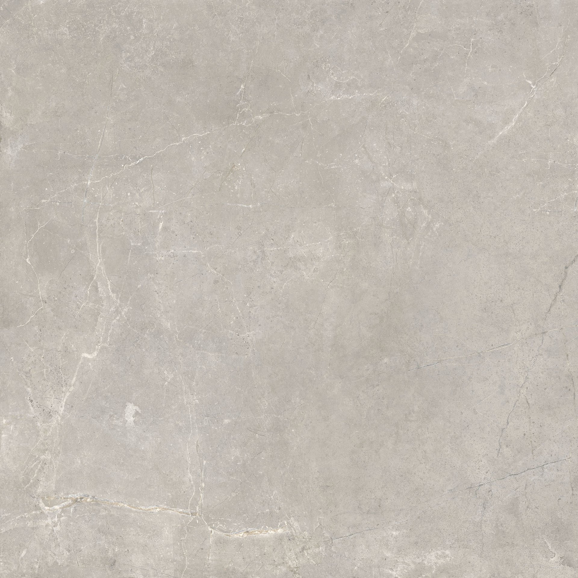 Harmony Grey 100x100cm.