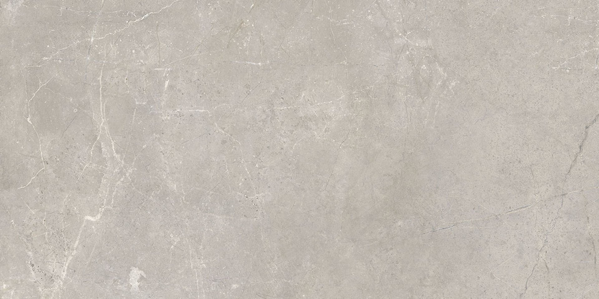 Harmony Grey Strong 30x60cm.