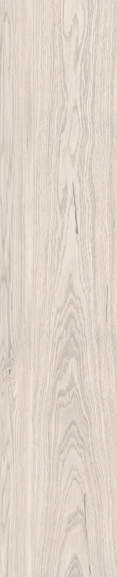 Quercia White 24x120 R11