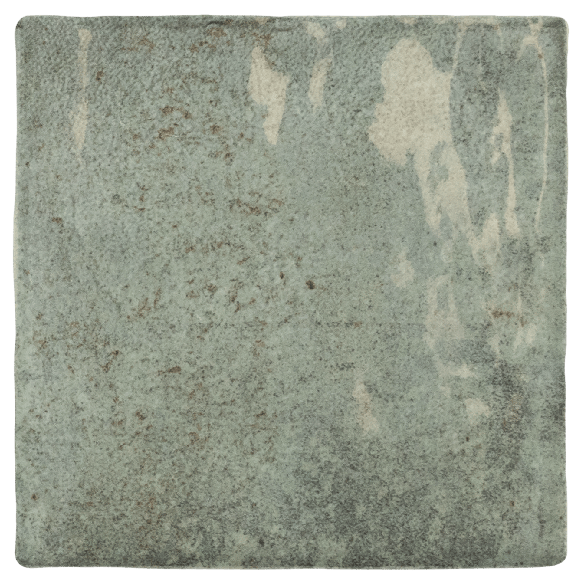 Verticale Oakmoss 10x10cm.