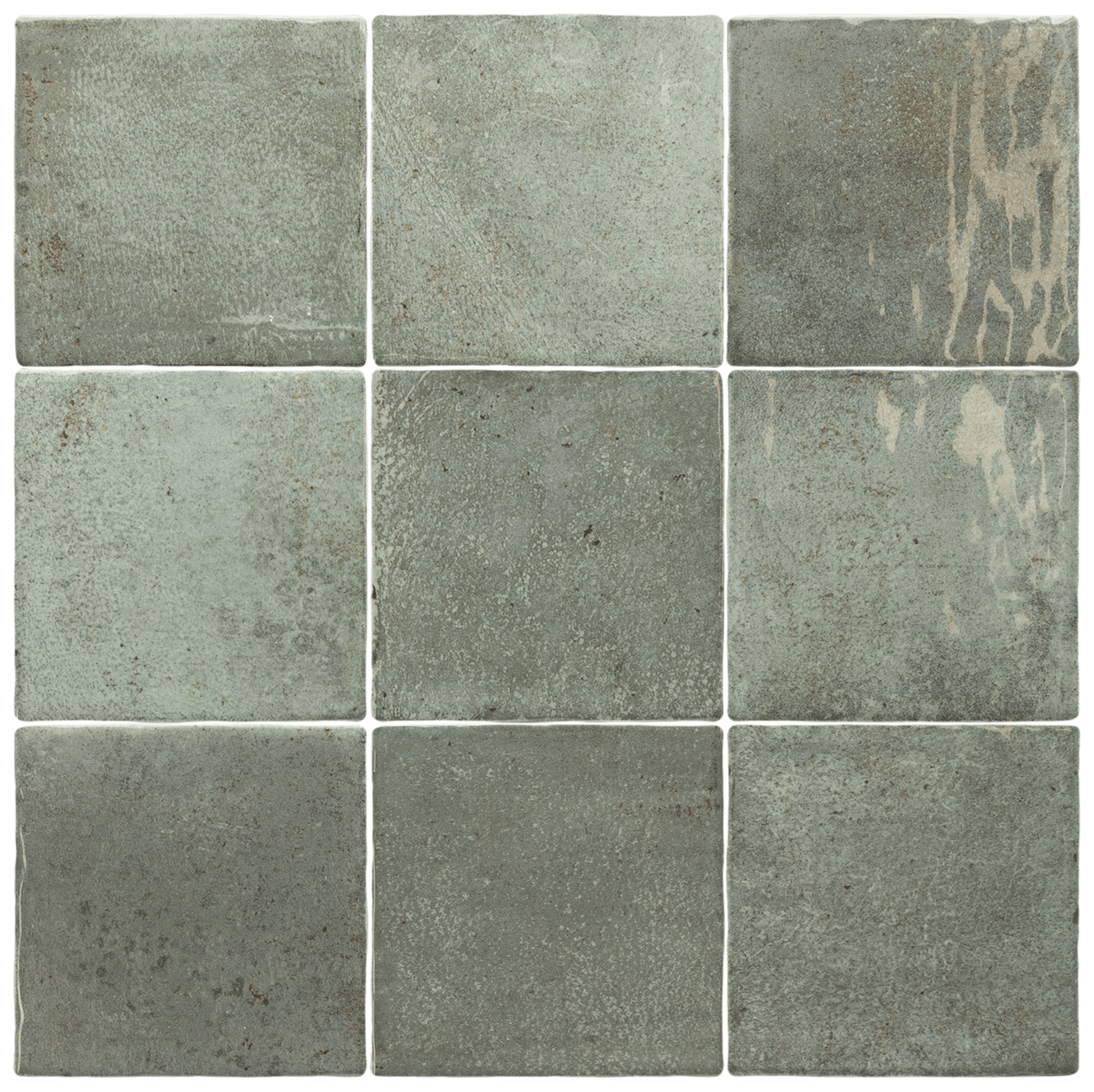 Verticale Oakmoss 10x10cm.