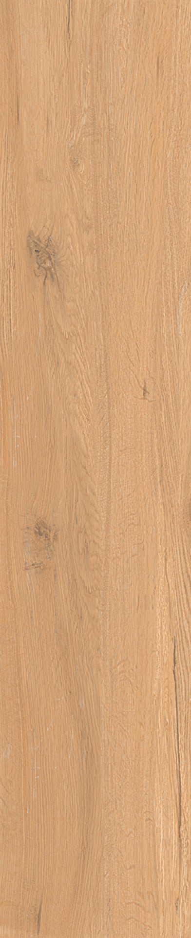Quercia Honey 24x120cm.