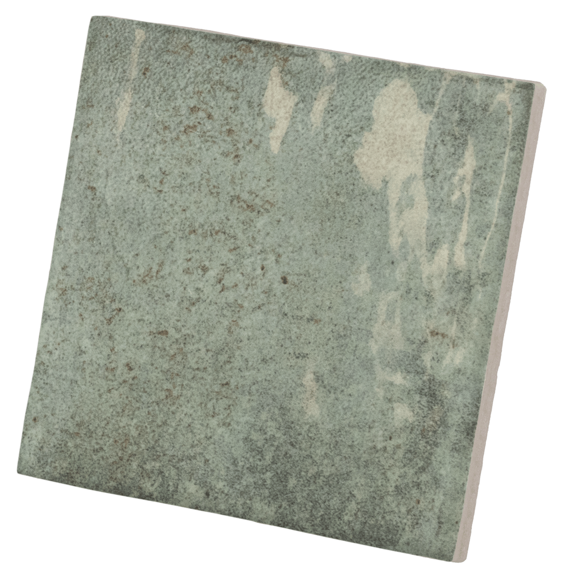 Verticale Oakmoss 10x10cm.