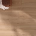 Quercia
