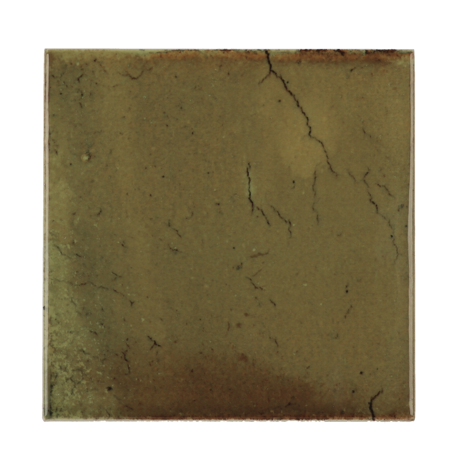 Hanoi Wild Olive 10x10cm.