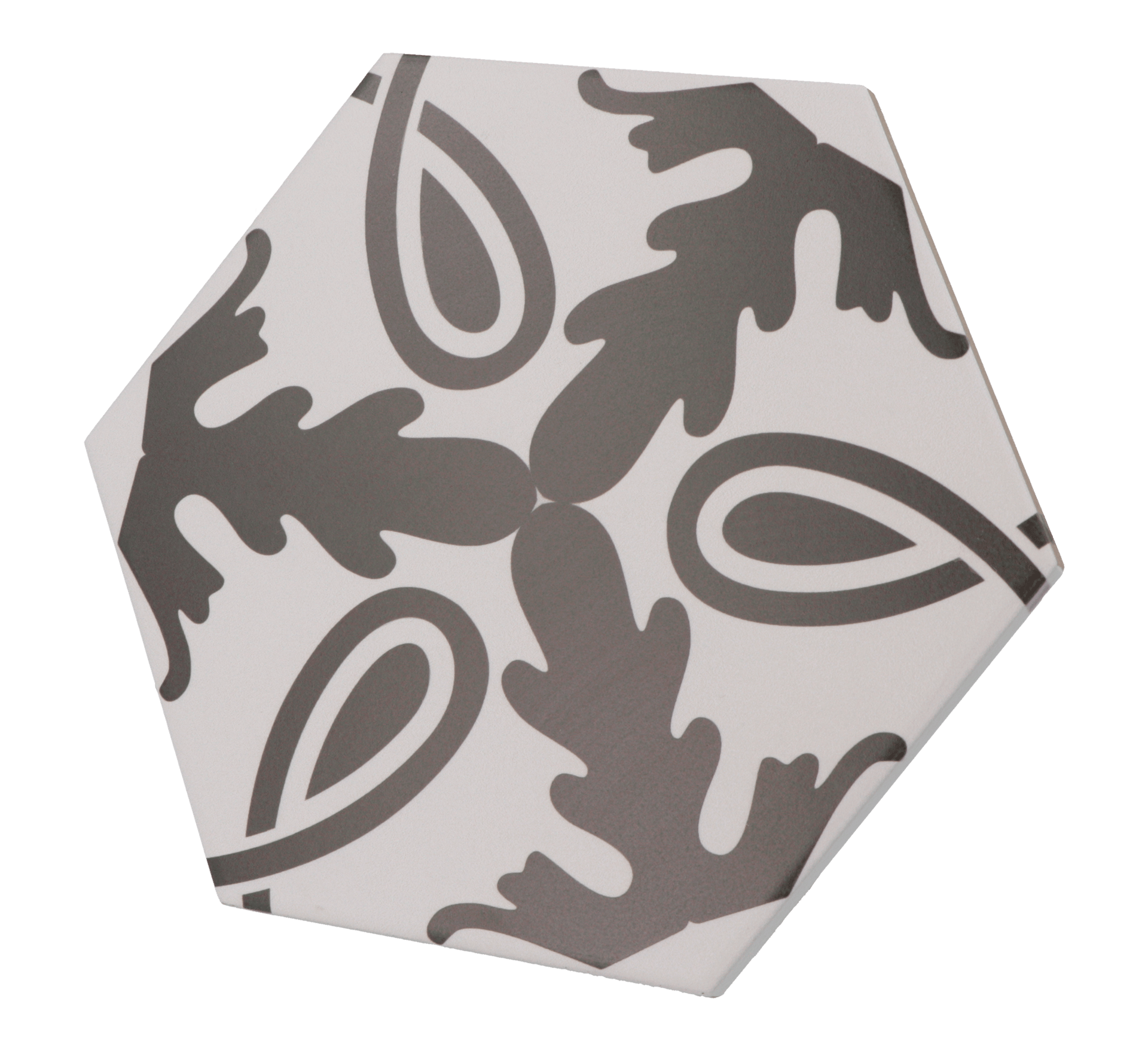 Coimbra Eterna 17,5X20cm.