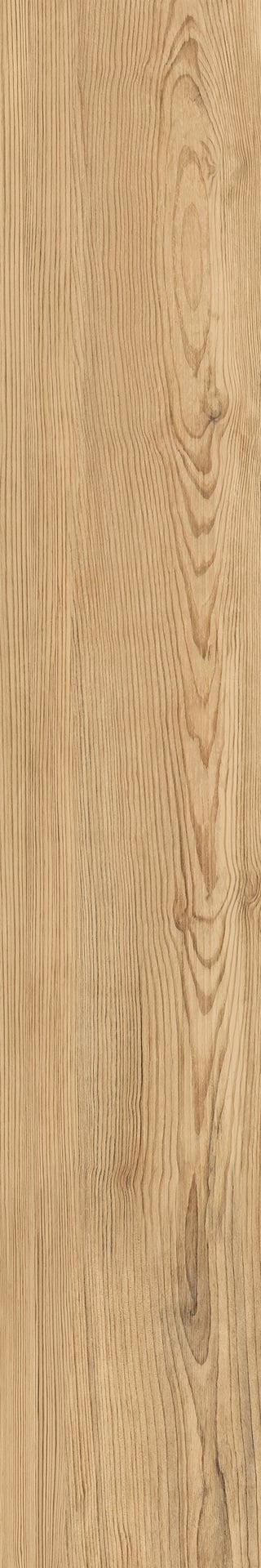 20X120 HONEY WOOD LARICE NAT RET R11