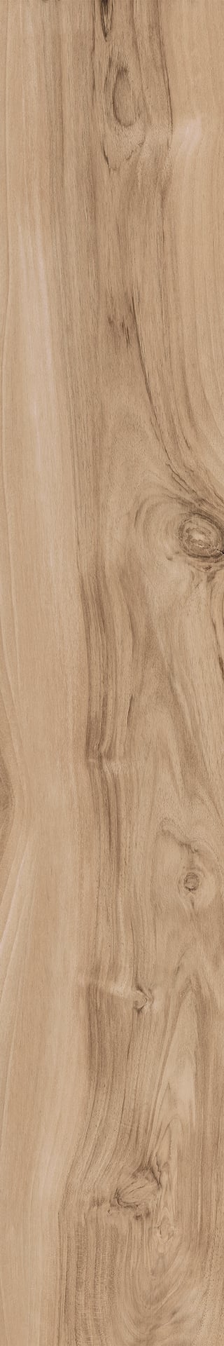 20X120 HONEY WOOD NOCE NAT RET R11